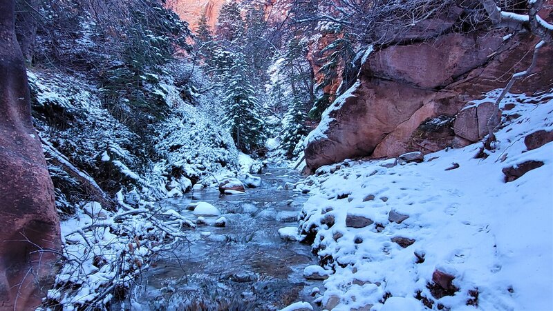 View from the trail.