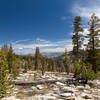 You can see the Monarch Divide far north from Jennie Lake Trail.