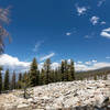 Granite scree along Jennie Lake Trail.