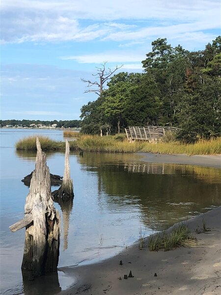 Osprey Trail along the beach on Broad Bay.