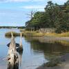 Osprey Trail along the beach on Broad Bay.