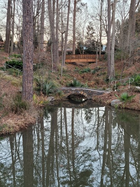 Bridges near pond area