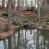 Bridges near pond area