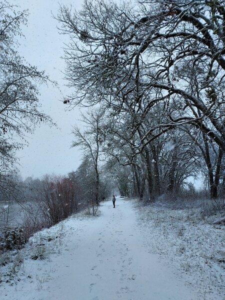 Along the Rogue River in winter.