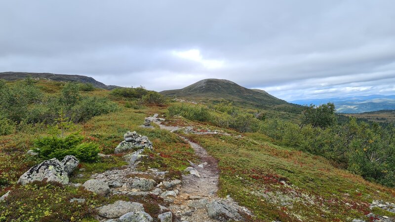 Fra Olhovdnuten til Dynatten