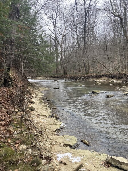 On the bank of Raccoon Creek