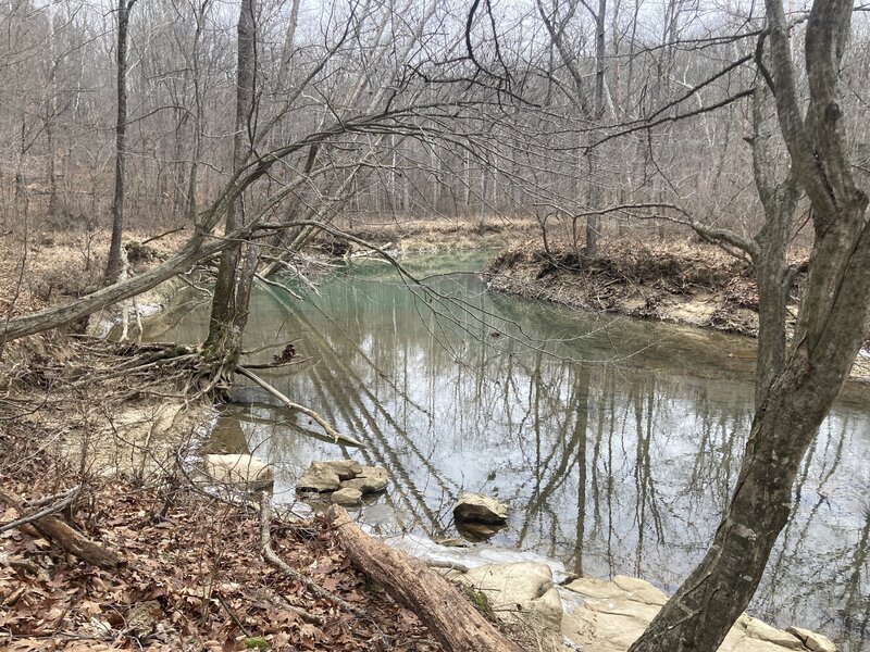 On the floodplain of Raccoon Creek