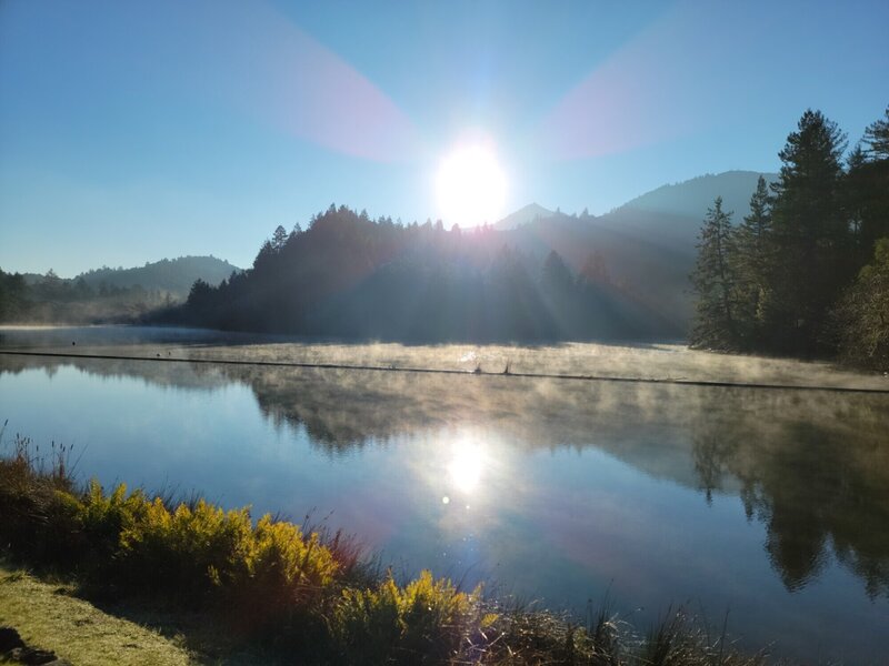 Lake Lagunitas