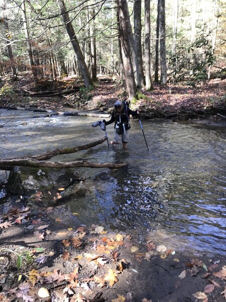 There are up to six crossings that may require wading depending on recent rains.    Two feet deep at every crossing when we went in November.