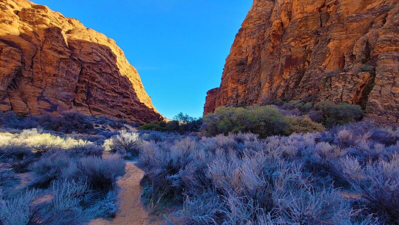 View from the trail.