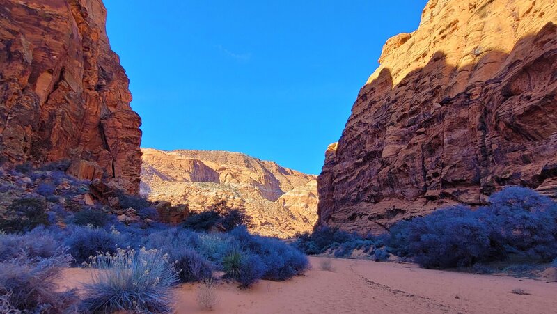 View from the trail