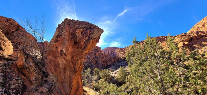 View from the trail