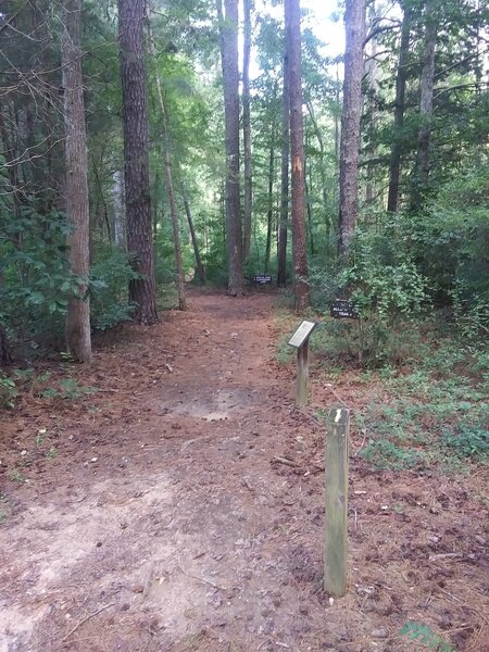 Beginning of Trail