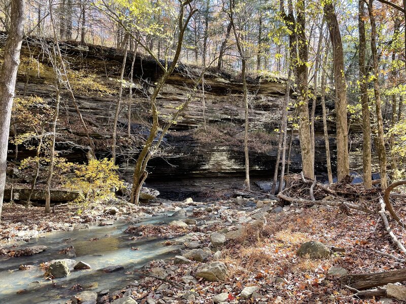 Along Spirits Creek in the fall