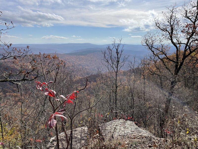 Mount Magazine from Hare Mountain.