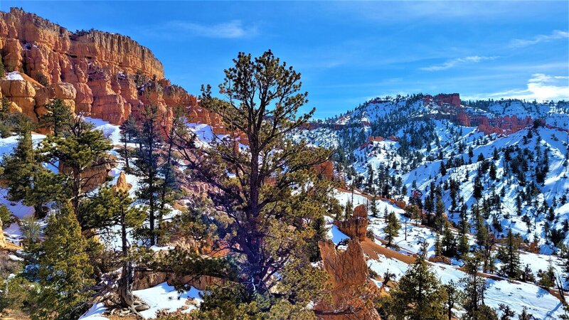 View from the trail.