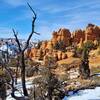 View from the trail