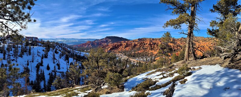 View from the trail