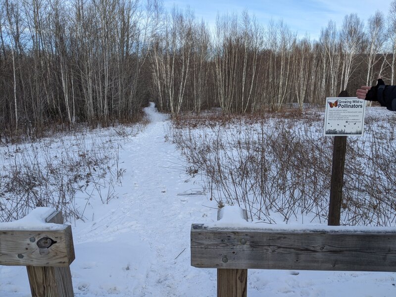 The way back to Belows South Trailhead parking lot.