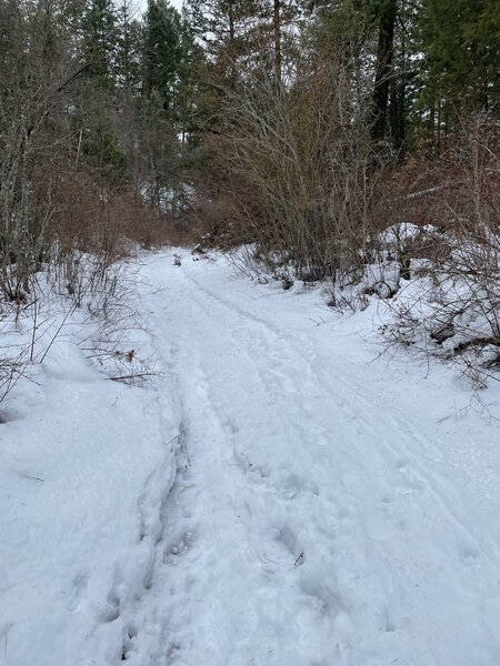 Snow getting less packed along the trail.