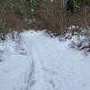 Snow getting less packed along the trail.