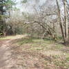 This is one of the older doubletrack sections of trail at Cullinan. Most of the new trail is singletrack.