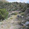 The old Box Canyon road up to High Rolls...