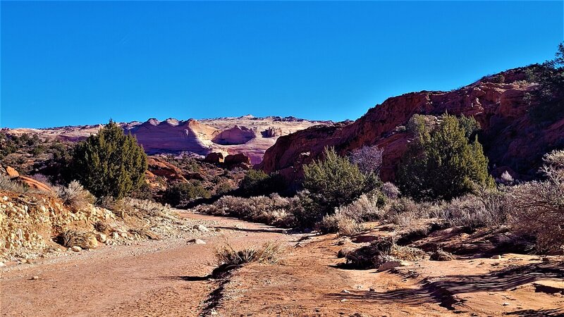 View from the trail