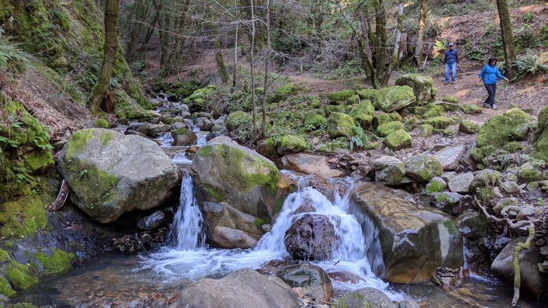 Trail along the creek