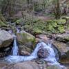 Trail along the creek