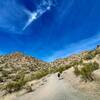 Climbing toward Goldmine Mountain.