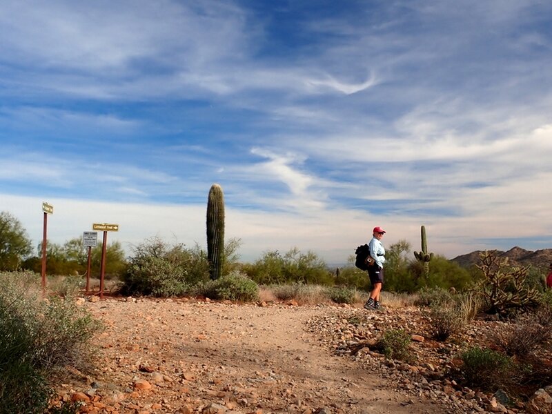 On the Littleleaf Trail