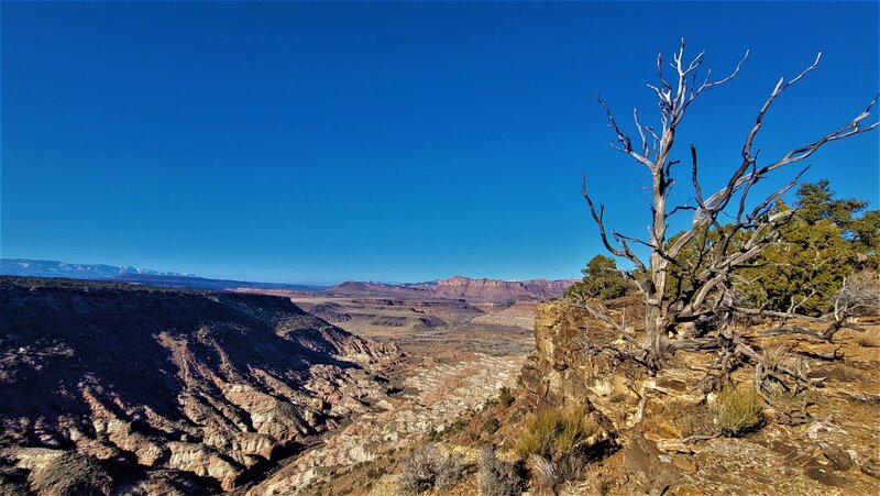 View from the trail