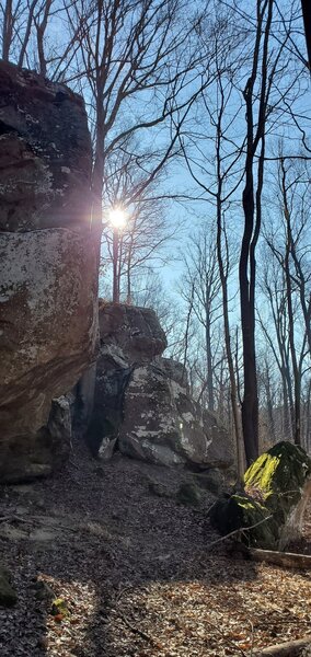 Rock outcrop