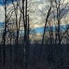 Hilltop view looking south through trees in winter.