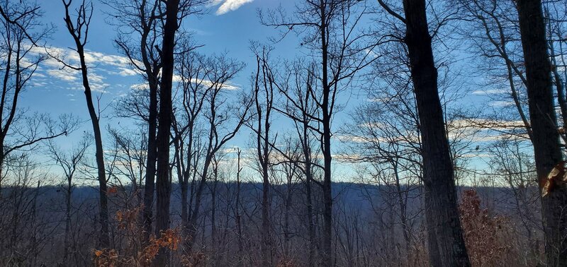 Hilltop view in winter.