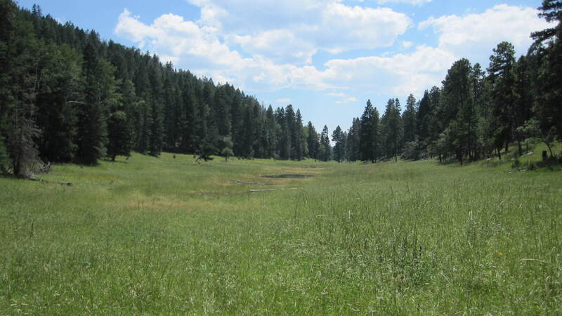 Bailey Canyon pond and meadows.