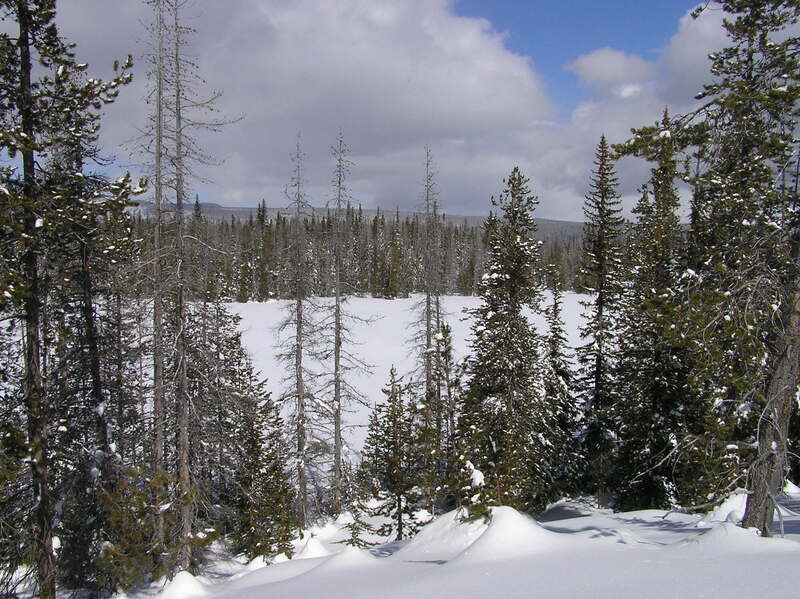 Swampy Lake from shelter tie trail. (3-8-2019).