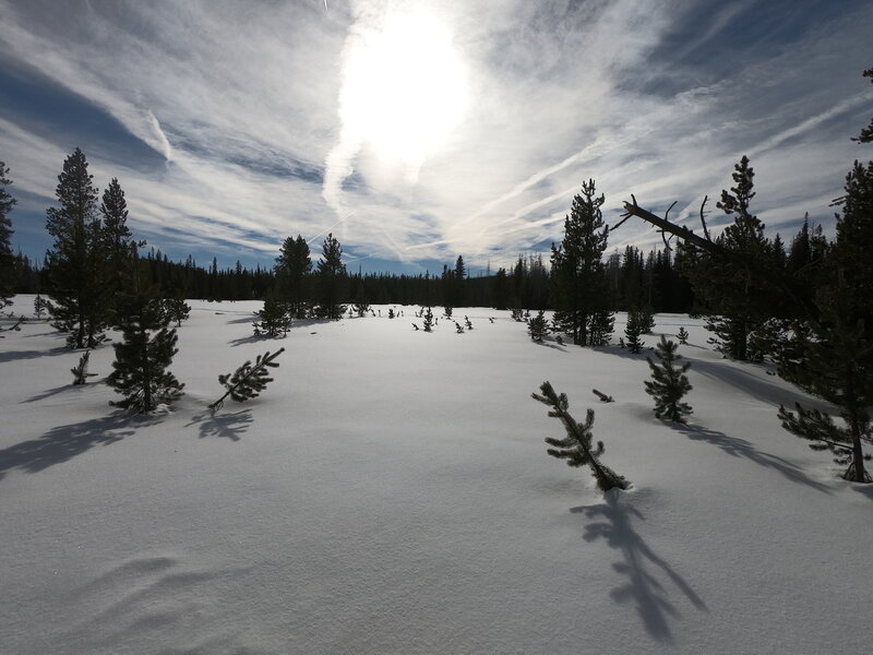 View south across Swampy Lake towards Swampy Shelter (1-14-2022)