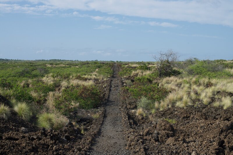 The trial traverses the lava field through Kai Oko-Honokohau National Historical Park.