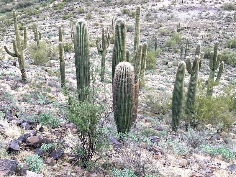 Just coming off the upper trail.