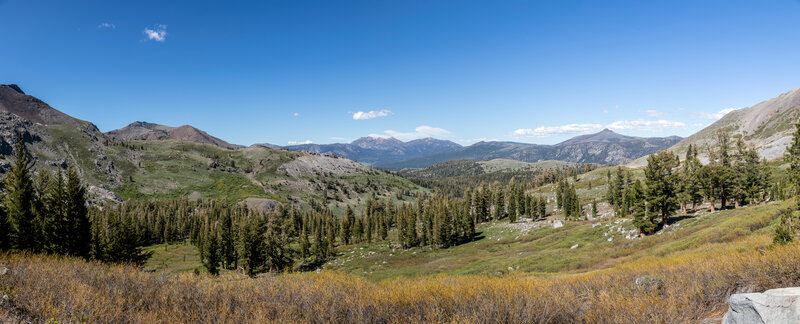 Forestdale Creek drainage