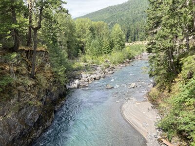 View looking north from Dodger Point Bridge.