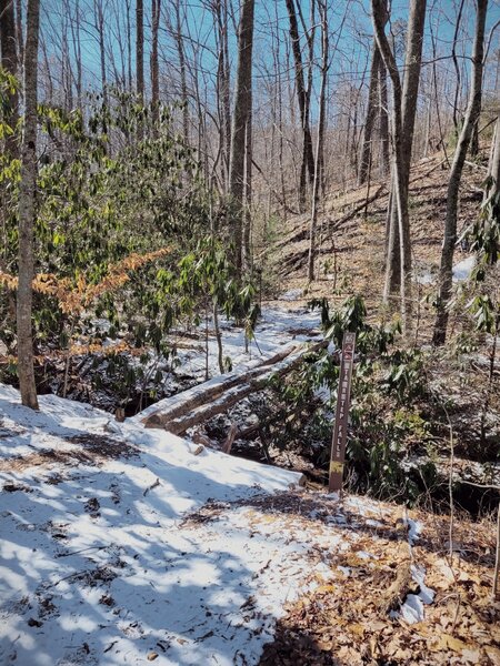 Bridge over Stair Step Falls, where Turkey Gut & Stair Step Falls trails meet.