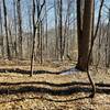 View of top of Gorge from Bluff Trail, views are ok, best during winter. With leaves there would not be much visibleble.