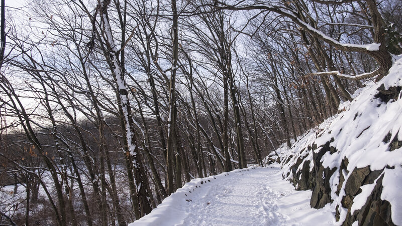 Looking South on the White Trail.