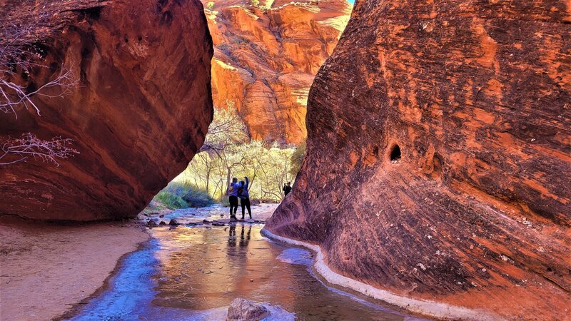 View from the trail