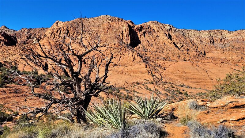 View from the trail