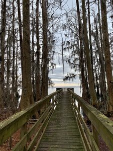 Moccasin point