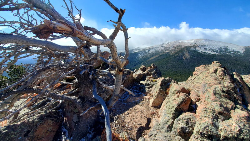 Estes Cone - Summit view